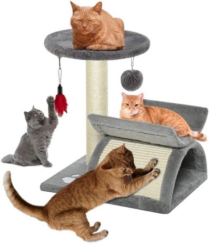 Cat tree scratching - cat,