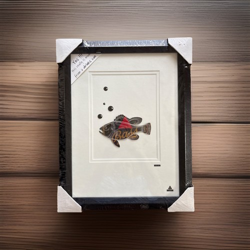 Framed canart fish wall art - framed, |