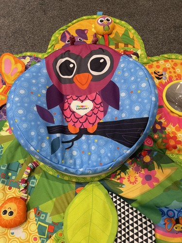 Lamaze spin and explore garden - and,