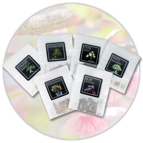 Flowering bonsai seed - flowering,