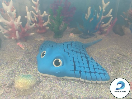 Printed manta ray stingray - printed,