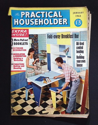 The practical householder - practical,