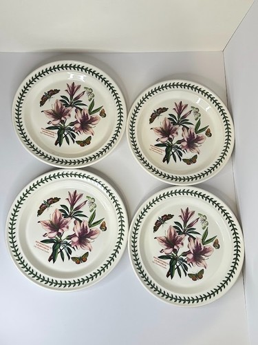 Portmeirion botanic garden - portmeirion,