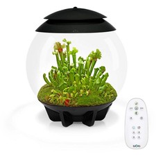 BiOrb Air 30 Terrarium - Black