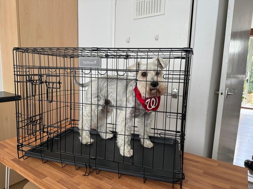 Dog cage puppy training - cage, crate