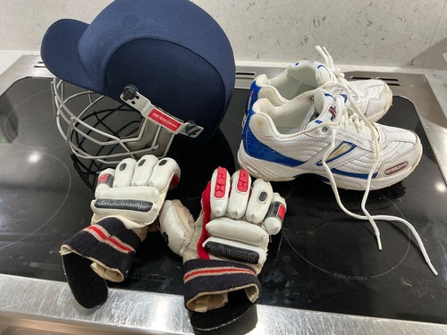 Gray nicholls cricket - gray, helmet