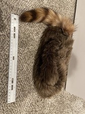 Davy, Crockett raccoon hat