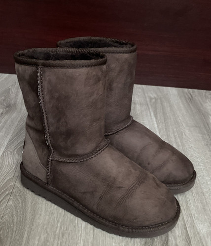 Ugg classic short - ugg, chocolate