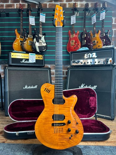 Godin lgx trans - lgx-sa, 2001