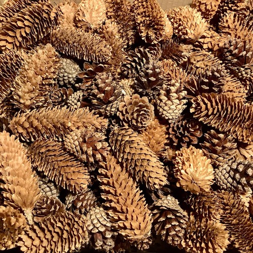 200 cones christmas - 200,