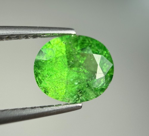Faceted tsavorite - 1.71,