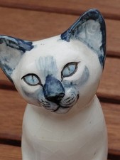 Unusual Colour Blue Seneshall