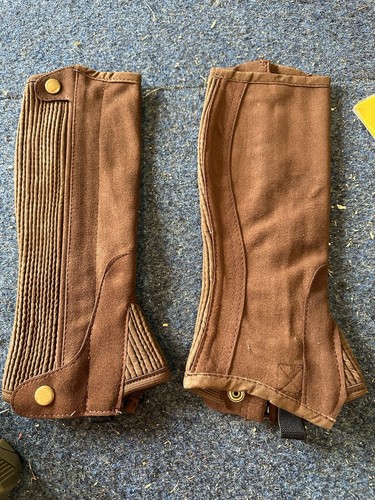 Eqvvs the english gaiter - the,