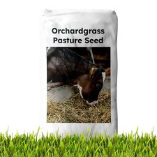 50 LBS Orchard grass is a very