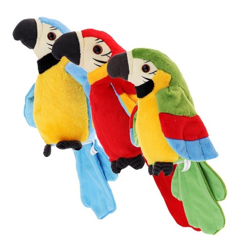 Talking parrot repeats - talking,