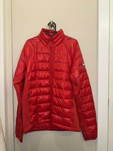 Canada goose hybridge - canada,