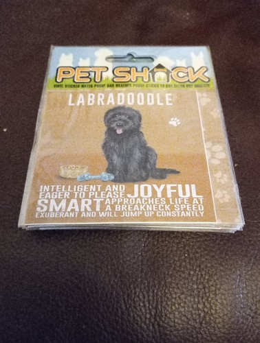 Pet shack labradoodle - shack,