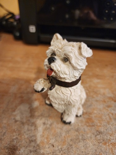 White west highland terrier - white,