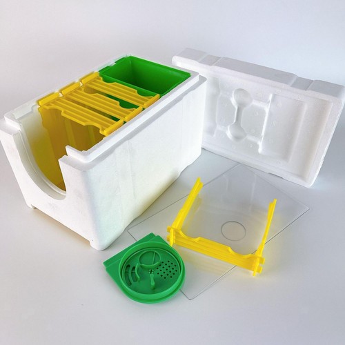 Mini beekeeping bee queen - beekeeping,