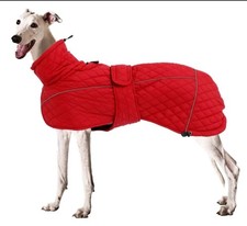 Greyhound Whippet Lurcher