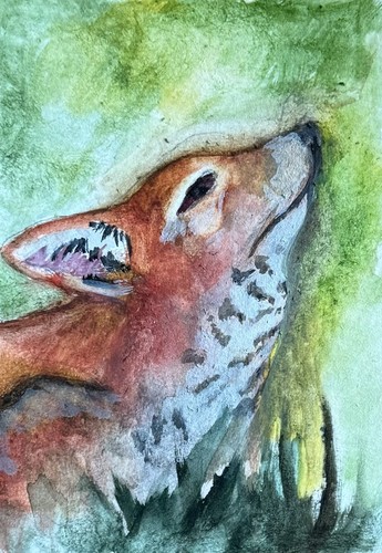 Aceo original watercolour - original,
