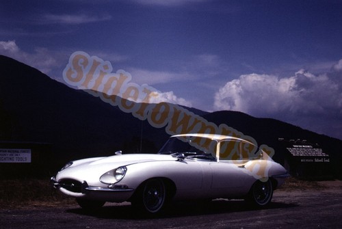 Vtg 1968 35mm slide jaguar - slide,