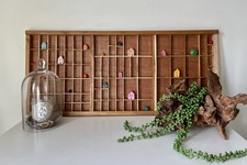 Vintage Letterpress Wooden Printers Tray Curios Display Refurbished & Treated