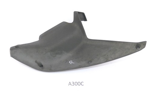 Aprilia etv 1000 capo - etv, nord