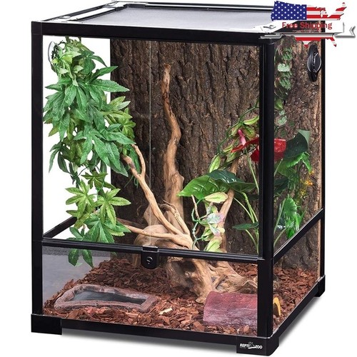 Gallon glass terrarium - glass,