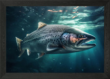 Salmon Underwater Framed Wall