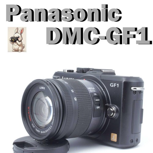 Panasonic lumix dmc gf1 with - lumix,
