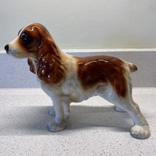 Large   Bone China  Cocker Spaniel 6" tall unmarked vgc