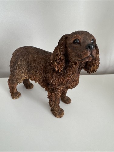 Leonardo king charles cavalier - leonardo,