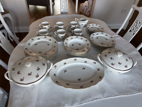 Antique czechoslovakian dinner - antique,