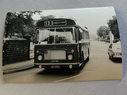 Bus photo ashley - bus, park
