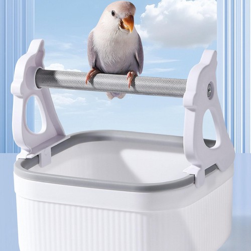 Parrot play stand - parrot,