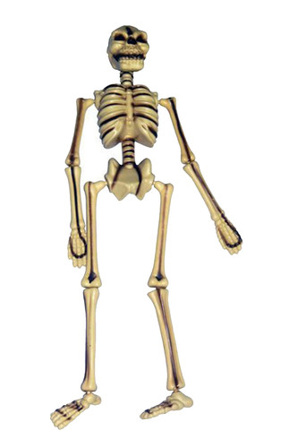 Hanging skeleton halloween - hanging,