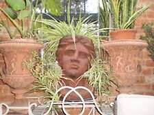 VINTAGE ROMAN,GRECIAN BUST PLANTER,GARDEN,ORANGERY,HOME