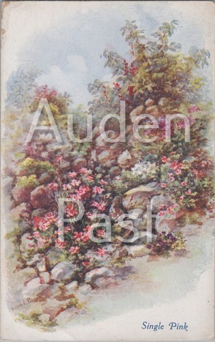 Single pink flower rock garden - pink,