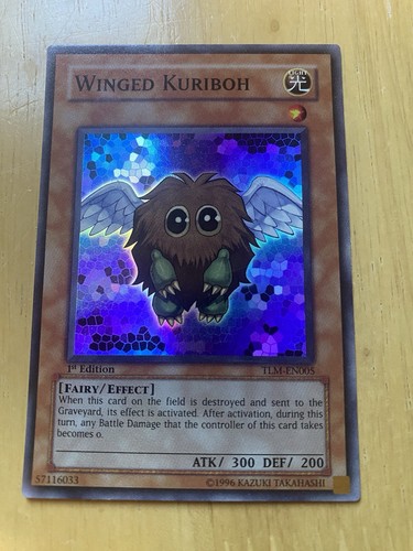Winged kuriboh - winged,