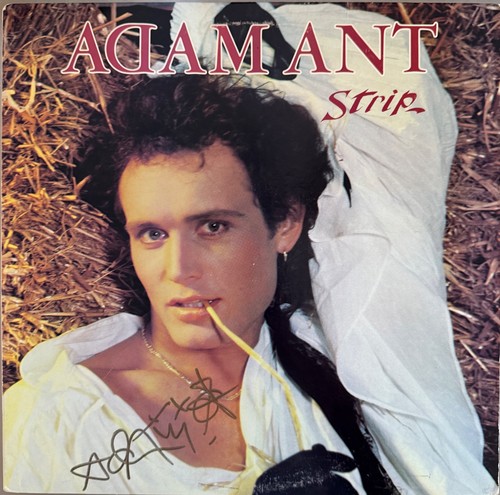 Adam ant signed strip lp - :,