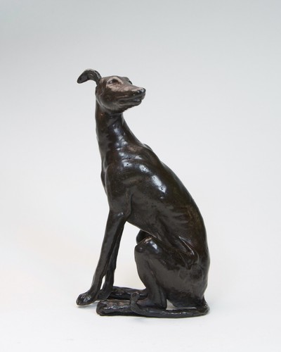 Greyhound lurcher sitting - sitting,