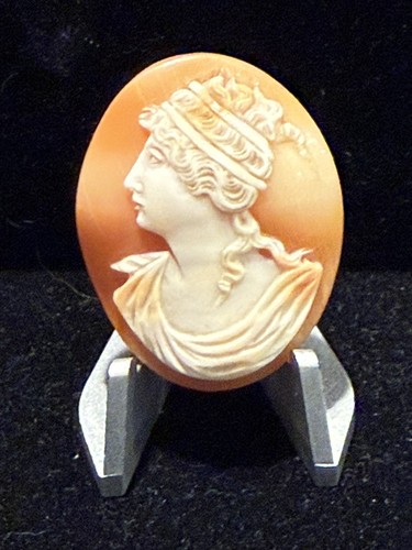 Antique hand carved shell - carved,