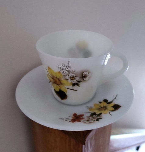 Retro vintage jaj pyrex autumn - pyrex,