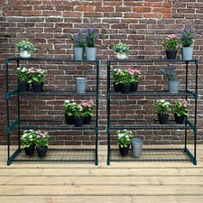 Greenhouse staging shelves - greenhouse,