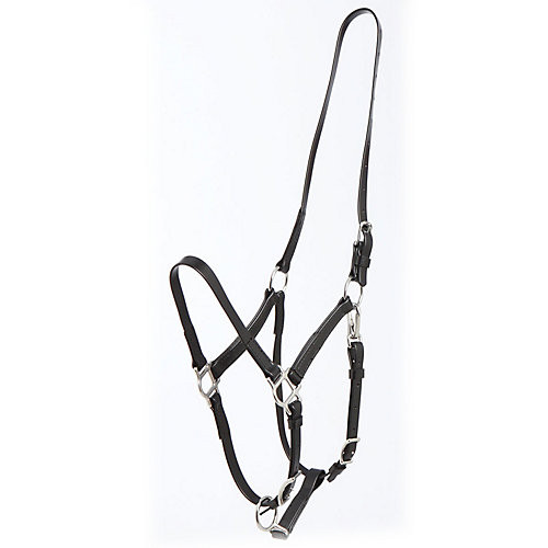 Zilco deluxe endurance halter - endurance,