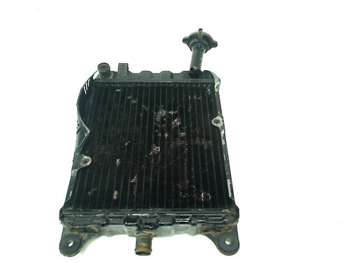Radiator honda 1000 - radiator, gl