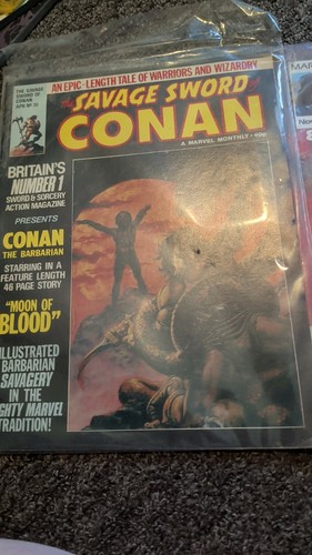 Conan savage sword - savage, 2