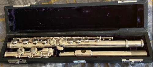 Flute musical instrument - flute,