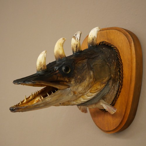 Fischwolpi wolpertinger horned - wolpertinger,